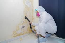 Best Commercial Mold Inspection  in Ladera, CA